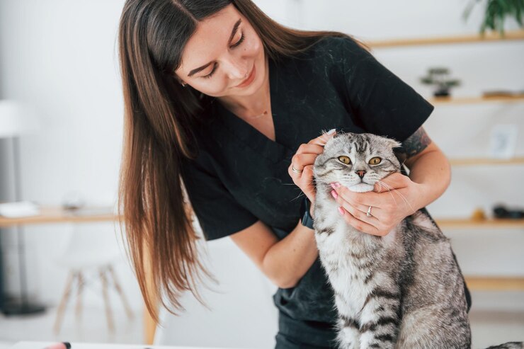 Our Go-To for Pet Health